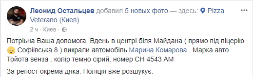 У Києві викрали авто відомої волонтерки: є фото підозрюваного